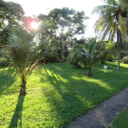Apartament Ti Cajou Baie-Mahault Zewnętrze zdjęcie